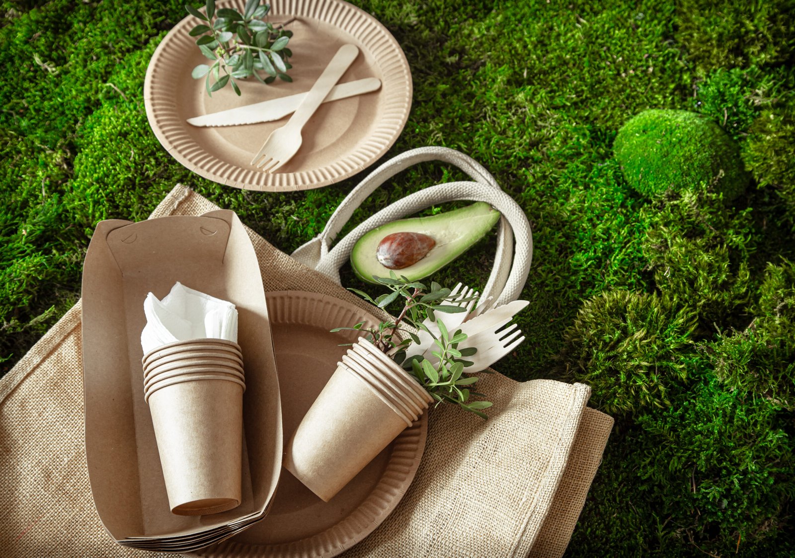 Biodegradable vs. Compostable Packaging